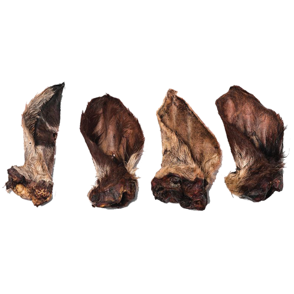 Beef Ears with Hair