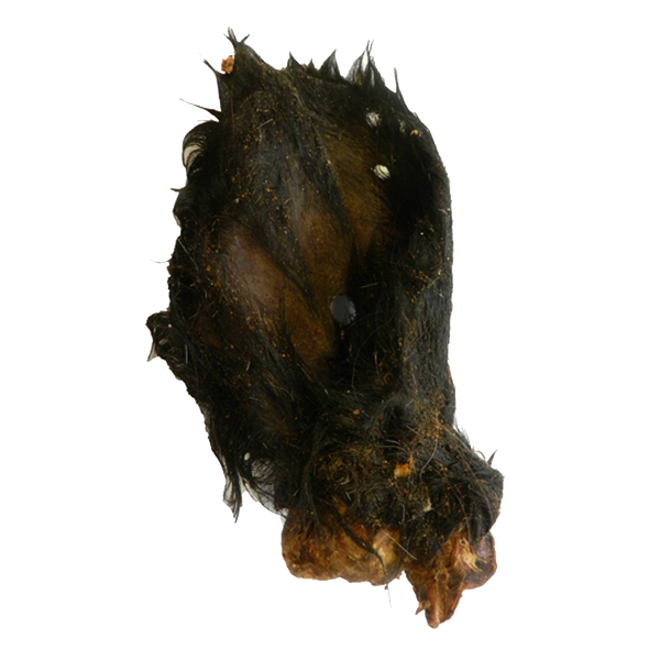 Meaty Beef Ears