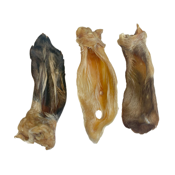 Lamb Ears with Hair