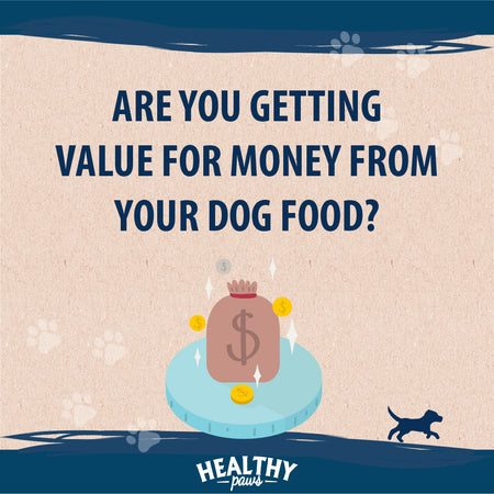 Save Money with Healthy Paws