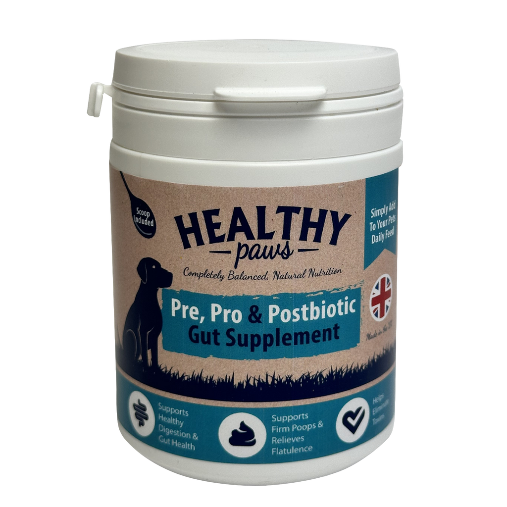 Gut Supplement for Dogs | Supports Digestion & Relieves Bloating ...
