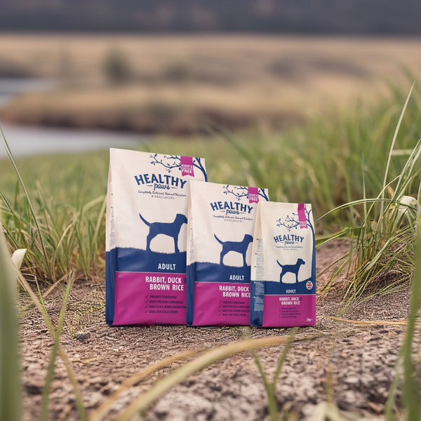 Rabbit, Duck & Brown Rice Dog Food | Wheat-Free & Palatable – Healthy Paws